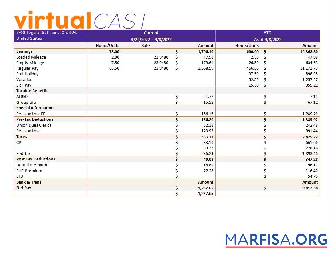 Printable Video conferencing company payroll download for verification